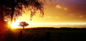 motherhendiaries.com 