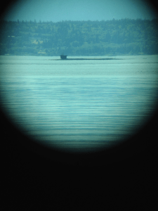 Mutiny Bay - Photo 1