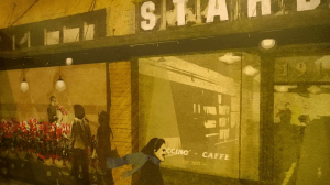 #21 South America Blog